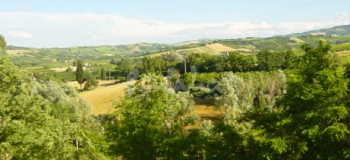 img1878638_g