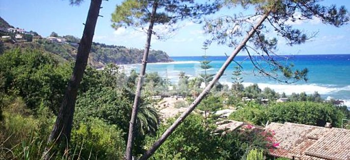 tropea16