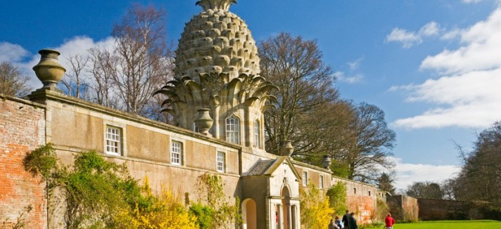 Pineapple_2240649k_0