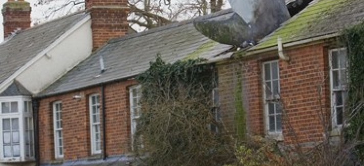 Sharkhouse_2240791k_0