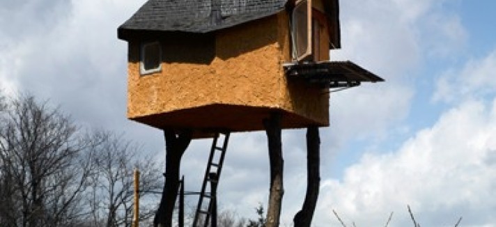 Treeteahouse_2240608k_0