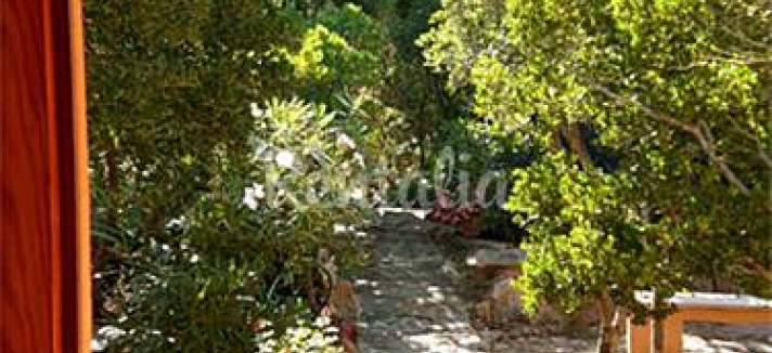giardino9
