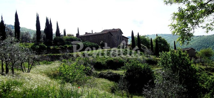rentalia2