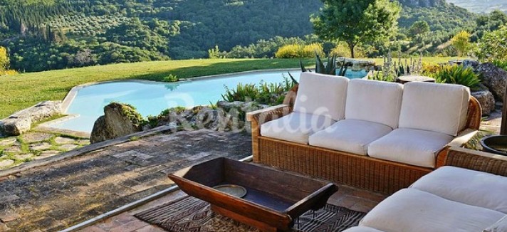 rentalia-saturnia-20