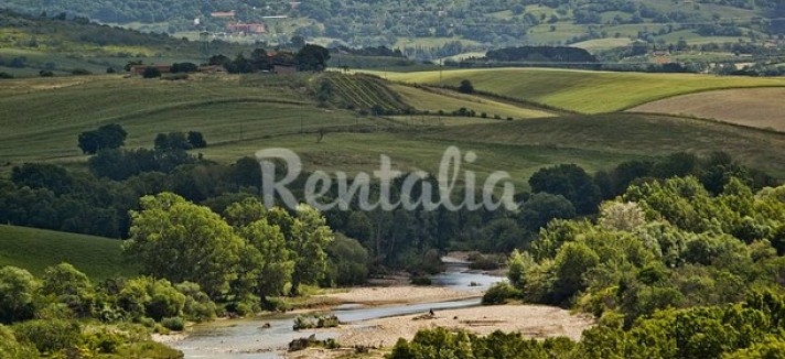 rentalia-saturnia-23