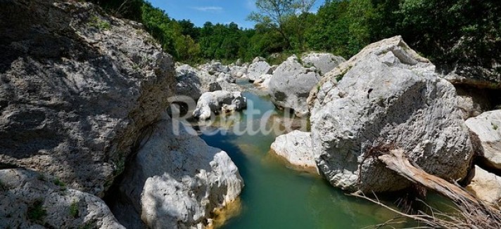 rentalia-saturnia-25