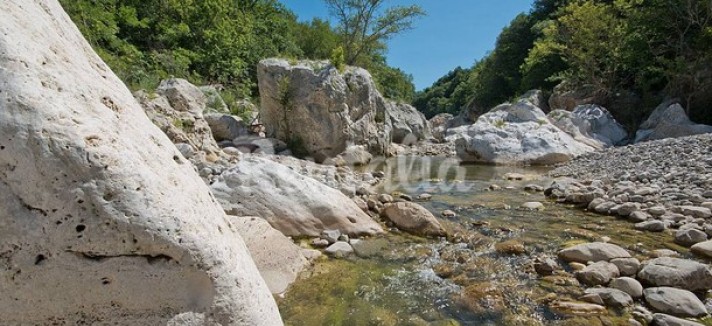 rentalia-saturnia-26