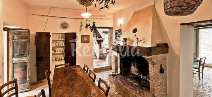 rentalia-saturnia-8