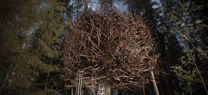 treehotel-birds-nest-1