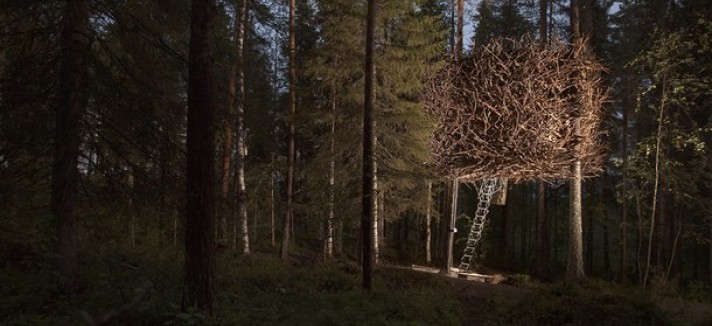 treehotel-birds-nest-4