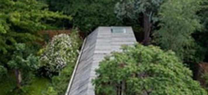 casa_albero_3