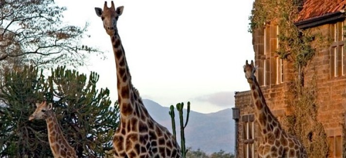giraffe-manor-surrounding1