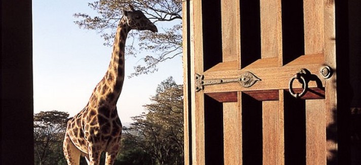giraffe-manor-surrounding2
