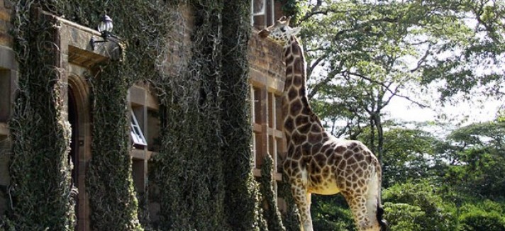 giraffe-manor-surrounding3