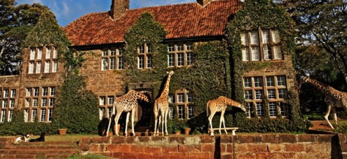 giraffe-manor1