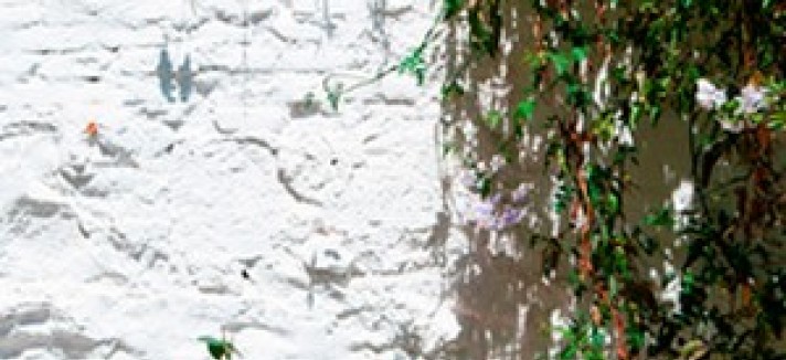 lavanderia_15