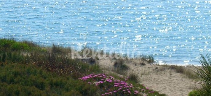 gallipoli_10