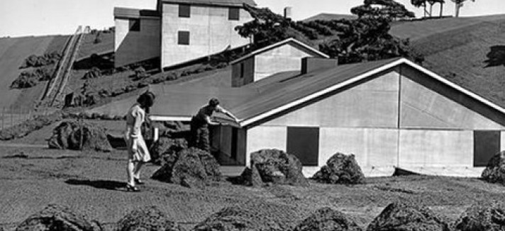 quartiere_stati_uniti_4
