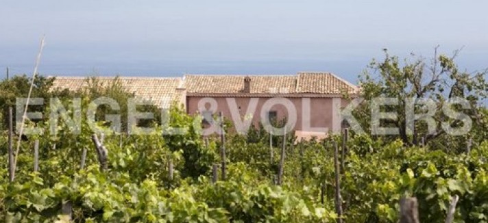tenuta_simply_red_6