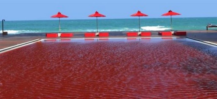 piscine_10