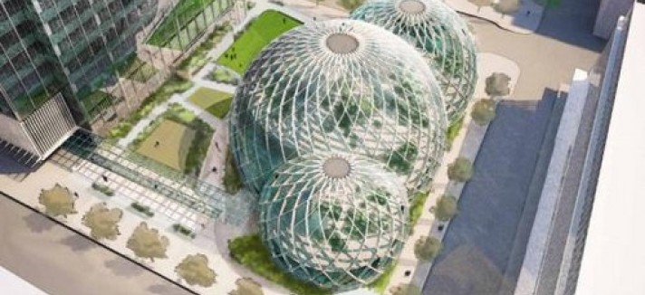 amazon_7