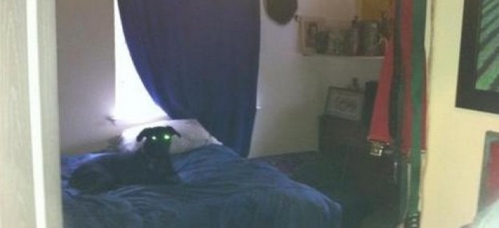 vendita_16