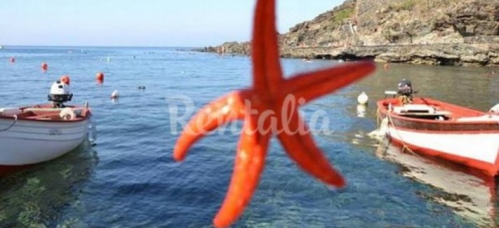 rentalia_9