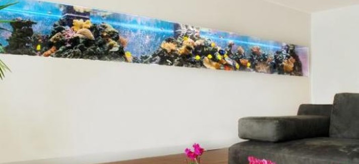 acuario-1