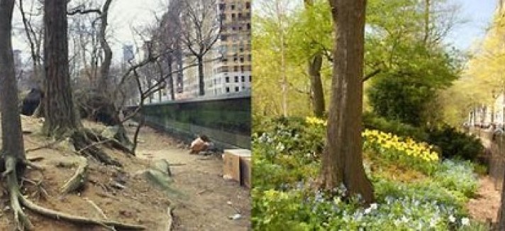 central_park_17