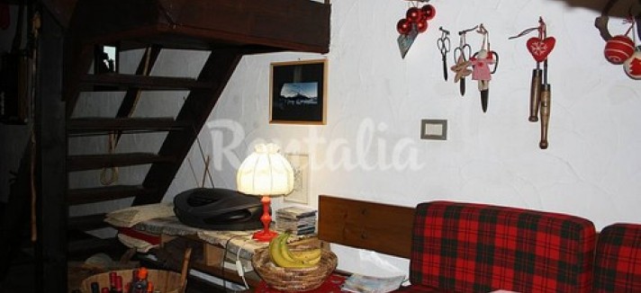 selva_11