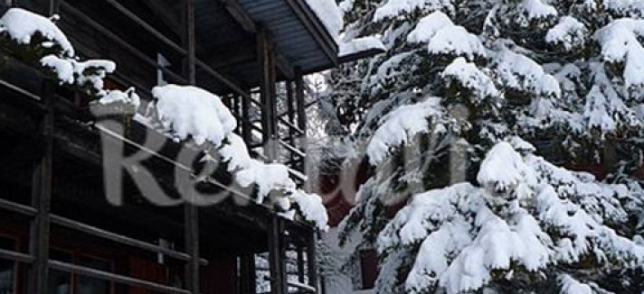 selva_2