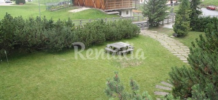 selva_3