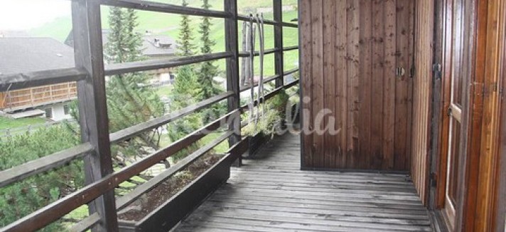 selva_4