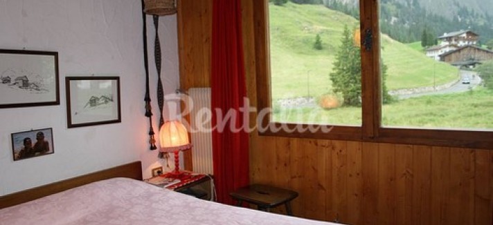 selva_7