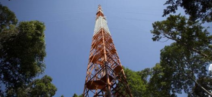 torre-1