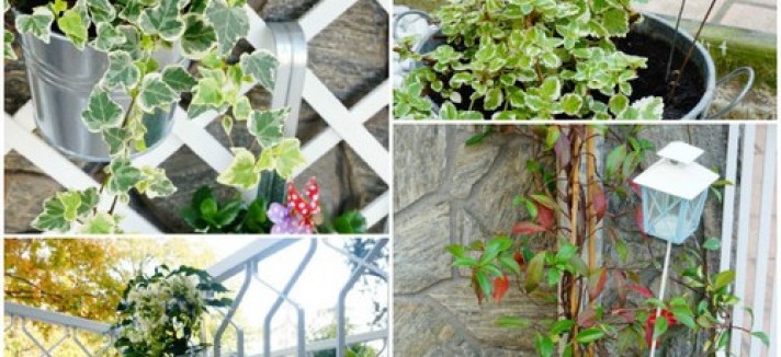 homestaging_1