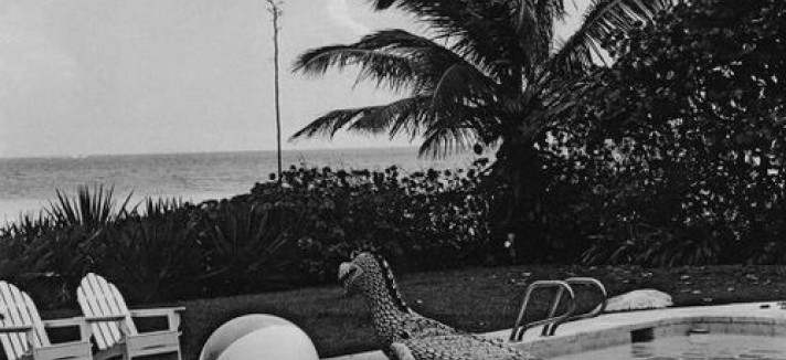 piscine_18