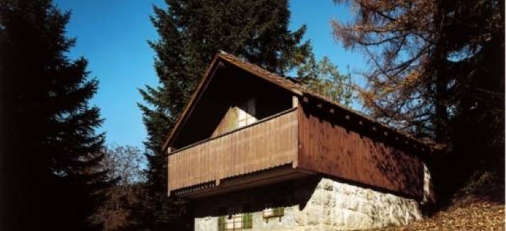 falsos_chalets_06