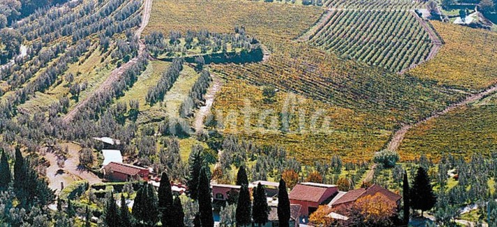 rentalia_4