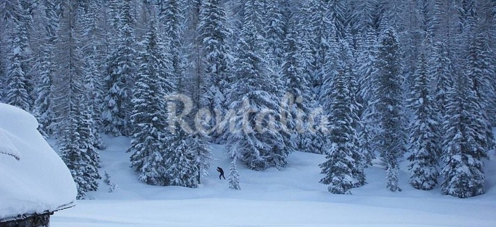 rentalia_moena_2
