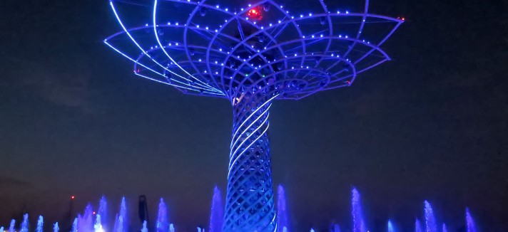 albero