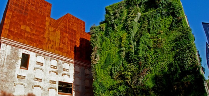 giardini_verticali_8