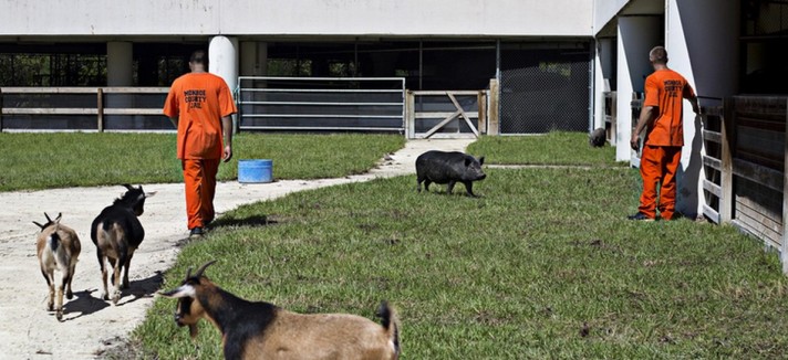 Il centro penitenziario in Florida