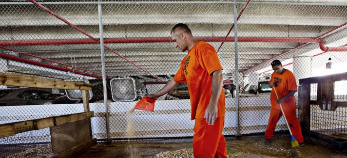 carcere_zoo_8