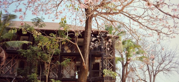 contadora_6
