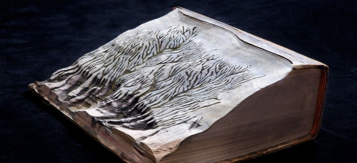 enciclopedia_22