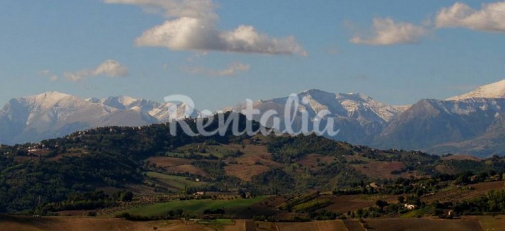 rentalia_marche_13