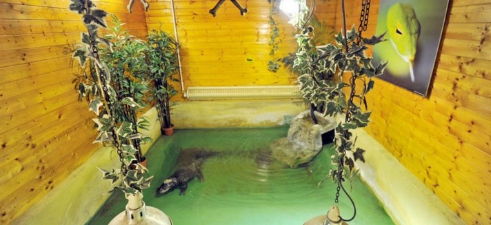 casa_giardino_17
