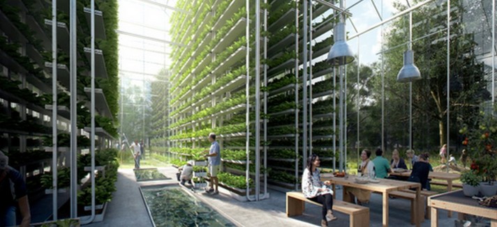 ecovillaggio_4