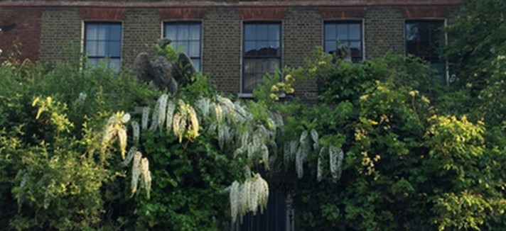 casa_londra_5